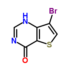 7-溴噻吩并[3,2-d]嘧啶-4(3H)-酮图片
