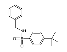 N-benzyl-4-tert-butylbenzenesulfonamide Structure