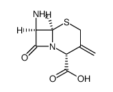 (6R,7R)-7-amino-3-methylenecepham-4-carboxylic acid Structure