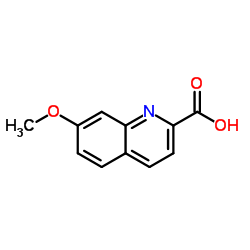 7-甲氧基-2-喹啉羧酸结构式