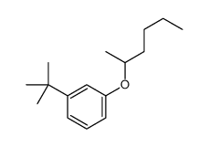 1-tert-butyl-3-hexan-2-yloxybenzene结构式