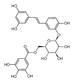 piceatannol 3-O-β-D-(6''-O-galloyl) glucopyranoside Structure