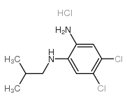 4,5-二氯-N1-异丁亚苯基-1,2-二胺 盐酸盐结构式