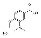 3-(DIMETHYLAMINO)-4-METHOXYBENZOIC ACID HYDROCHLORIDE Structure