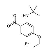 4-溴-N-叔丁基-5-乙氧基-2-硝基苯胺结构式