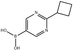 2-(Cyclobutyl)pyrimidine-5-boronic acid Structure