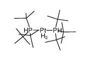 trans-[PtH2(P(t)Bu3)2] Structure
