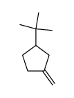 3-Methylene-tert-butylcyclopentane Structure