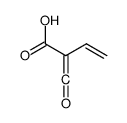 2-(oxomethylidene)but-3-enoic acid Structure