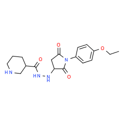 N'-[1-(4-Ethoxyphenyl)-2,5-dioxopyrrolidin-3-yl]-piperidine-3-carbohydrazide结构式