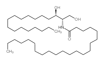 C22 Dihydroceramide Structure