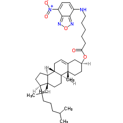 3-hexanoyl-NBD Cholesterol结构式