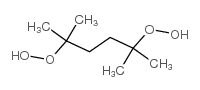 2,5-Dimethyl-2,5-bis-(hydroperoxy)hexane Structure