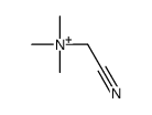cyanomethyl(trimethyl)azanium Structure