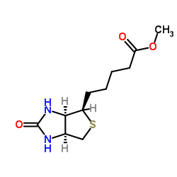 methyl 5-[(1S,2S,5R)-7-oxo-3-thia-6,8-diazabicyclo[3.3.0]oct-2-yl]pent anoate Structure