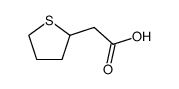 Tetrahydro-2-thiopheneacetic acid Structure
