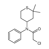 2-chloro-N-(2,2-dimethyltetrahydro-2H-thiopyran-4-yl)-N-phenylacetamide结构式