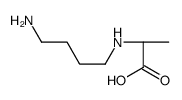 (2S)-2-(4-aminobutylamino)propanoic acid结构式