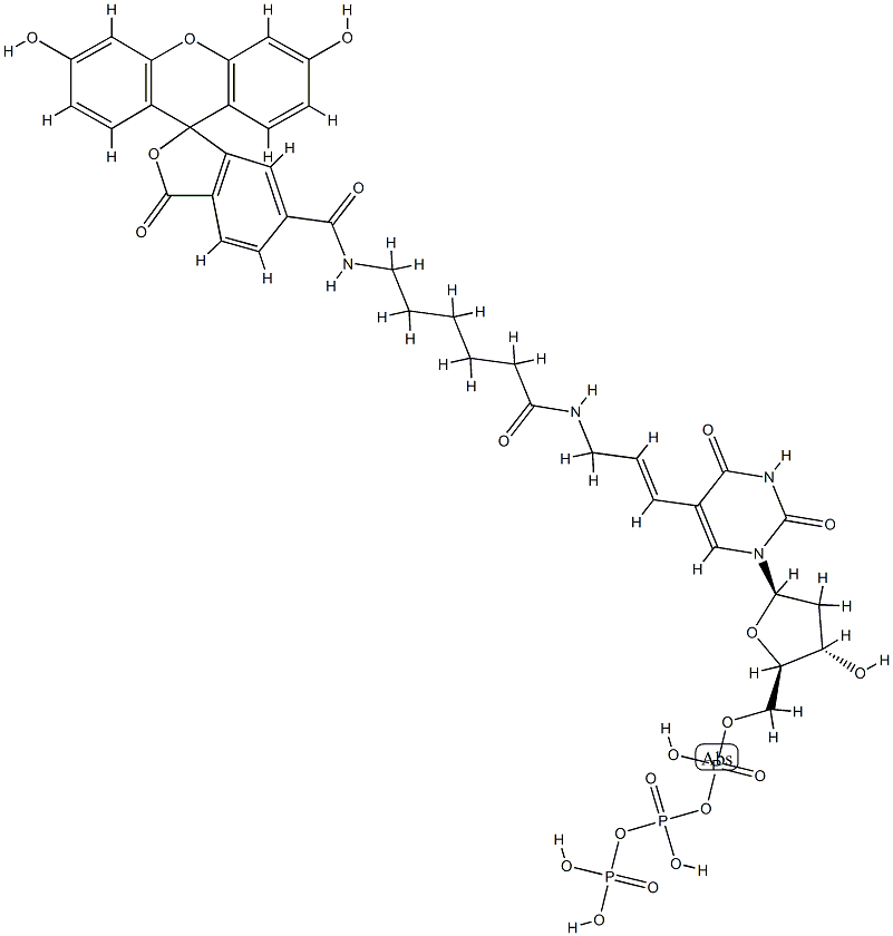 荧光素-dUTP结构式