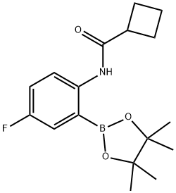N-[4-fluoro-2-(4,4,5,5-tetramethyl-1,3,2-dioxaborolan-2-yl)phenyl]cyclobutanecarboxamide Structure