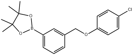 3-(4-氯苯氧基甲基)苯基硼酸频哪醇酯结构式