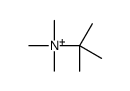 tert-butyl(trimethyl)azanium结构式