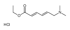 ethyl 6-(dimethylamino)hexa-2,4-dienoate,hydrochloride Structure