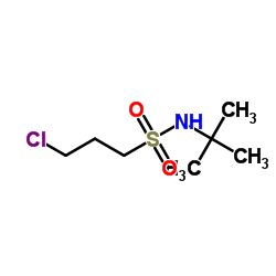 N-叔丁基-3-氯丙烷-1-磺酰胺结构式