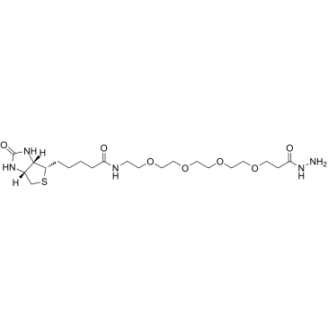Biotin-PEG4-hydrazide结构式