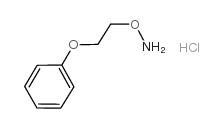 1-[2-(氨基氧基)苄氯]苯氯结构式