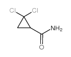 2,2-二氯环丙烷-1-羧酰胺结构式