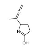 5-buta-2,3-dien-2-ylpyrrolidin-2-one结构式