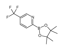 5-TRIFLUOROMETHYLPYRIDINE-2-BORONIC ACID PINACOL ESTER Structure