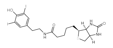 N-(4-hydroxy-3,5-diiodophenylethyl)biotin amide结构式