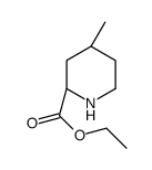(2R,4R)-4-Methyl-2-piperidinecarboxylicethylester picture