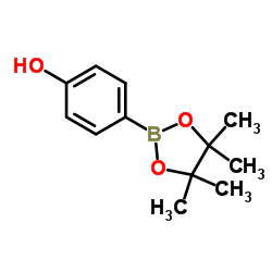 4-(4,4,5,5-Tetramethyl-1,3,2-dioxaborolan-2-yl)phenol Structure