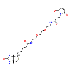N-生物素基-N'-(3-马来酰亚胺基丙酰基)-3,6-二氧杂辛烷-1,8-二胺结构式