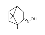 (E)-1,7,7-trimethylbicyclo[2.2.1]heptan-2-one oxime结构式