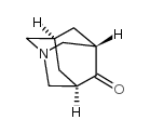 5-氮杂金刚烷-2-酮结构式