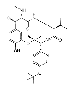 ustiloxin D tert-butyl ester Structure