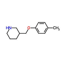 3-[(4-甲基苯氧基)甲基]哌啶盐酸盐结构式