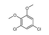 1,5-dichloro-2,3-dimethoxybenzene Structure