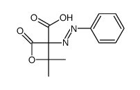 2,2-dimethyl-4-oxo-3-phenylazo-oxetane-3-carboxylic acid Structure