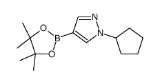 1-环戊基-4-(4,4,5,5-四甲基-1,3,2-二氧杂戊硼烷-2-基)-1H-吡唑图片