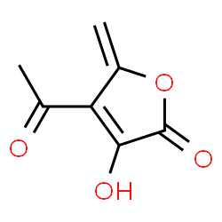 2(5H)-Furanone, 4-acetyl-3-hydroxy-5-methylene- (9CI)结构式