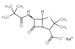 3,3-Dimethyl-6-((2,2-dimethyl-1-oxopropyl)amino)-7-oxo-4-thia-1-azabicyclo[3.2.0]heptane-2-carboxylic acid monosodium salt picture