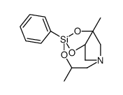 3,7-dimethyl-5-phenyl-4,6,11-trioxa-1-aza-5-silabicyclo[3.3.3]undecane Structure