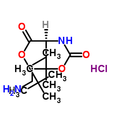 N-(叔丁氧羰基)-L-鸟氨酸叔丁酯盐酸盐结构式
