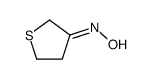 TETRAHYDROTHIOPHEN-3-ONE OXIME结构式