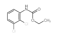 Carbamic acid,(2,3-dichlorophenyl)-, ethyl ester (9CI) picture